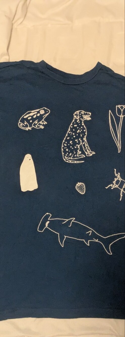 Lorien Stern's Blue Tshirt with White Nature Illustrations